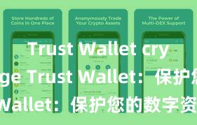 Trust Wallet crypto storage Trust Wallet：保护您的数字资产